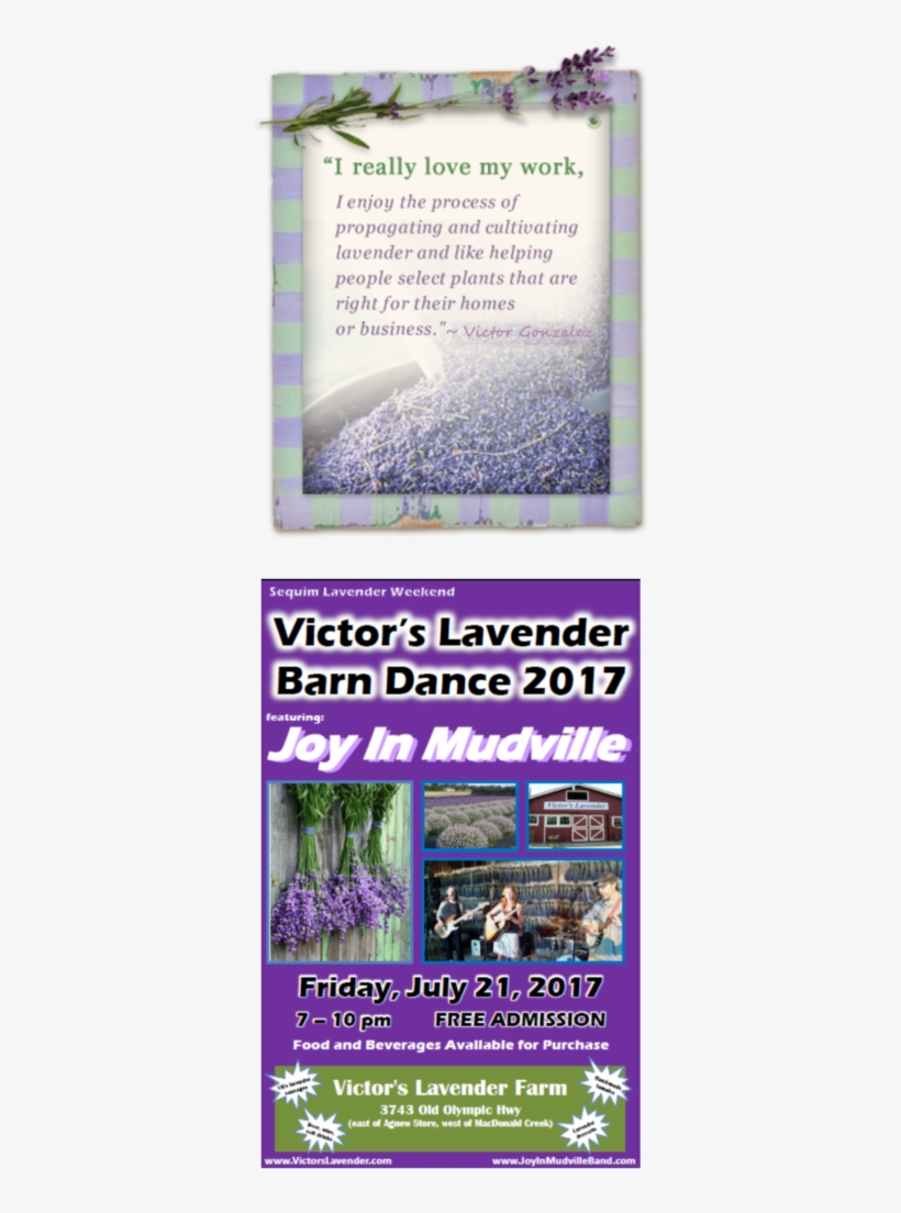 Lavender Workshops - Tableau De Jardin Lavande - 90x60 Cm, transparent png #2907039