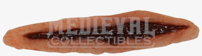 Large Gash Walker Appliance - Earthworm, transparent png #2907459