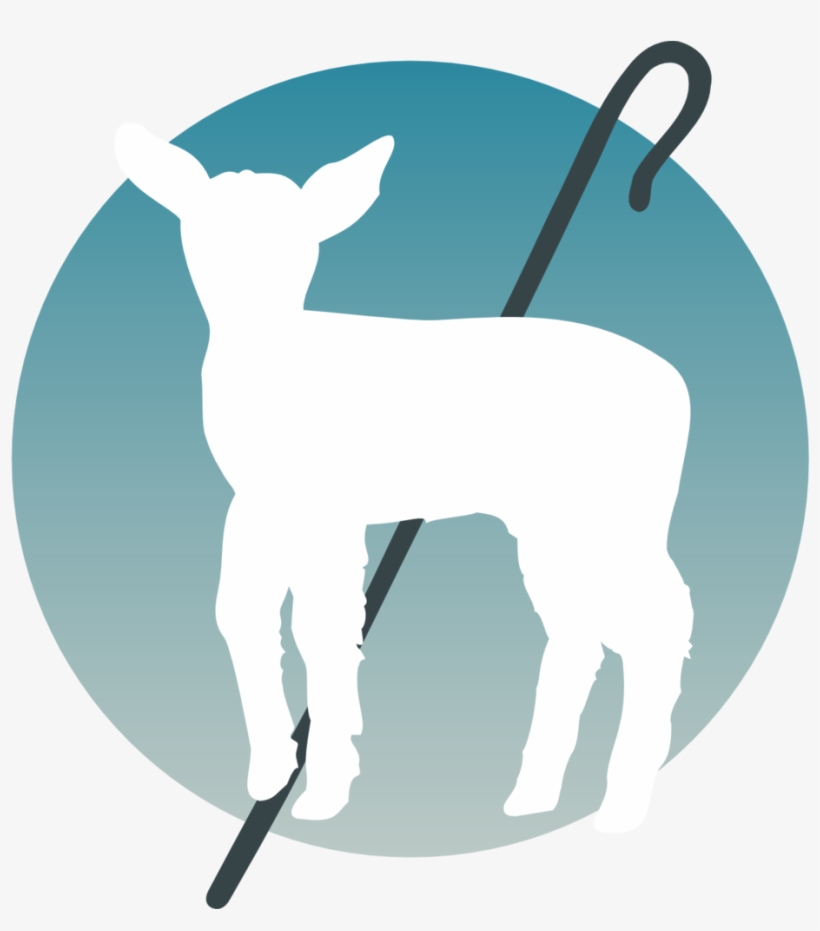 Gradient Circle - Supper, transparent png #2907603