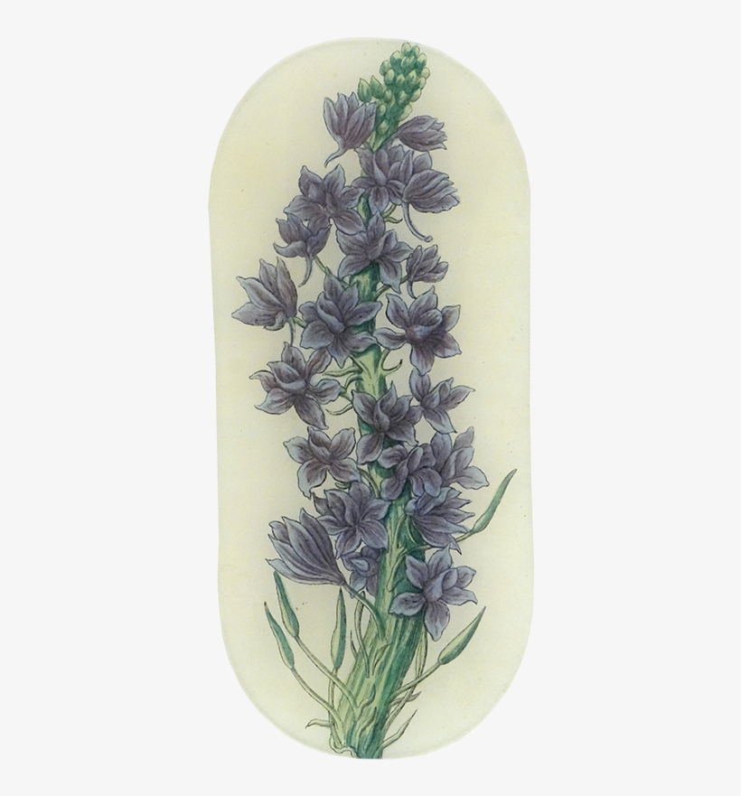 Lavender Stock Lavender Stock - Camas, transparent png #2907626
