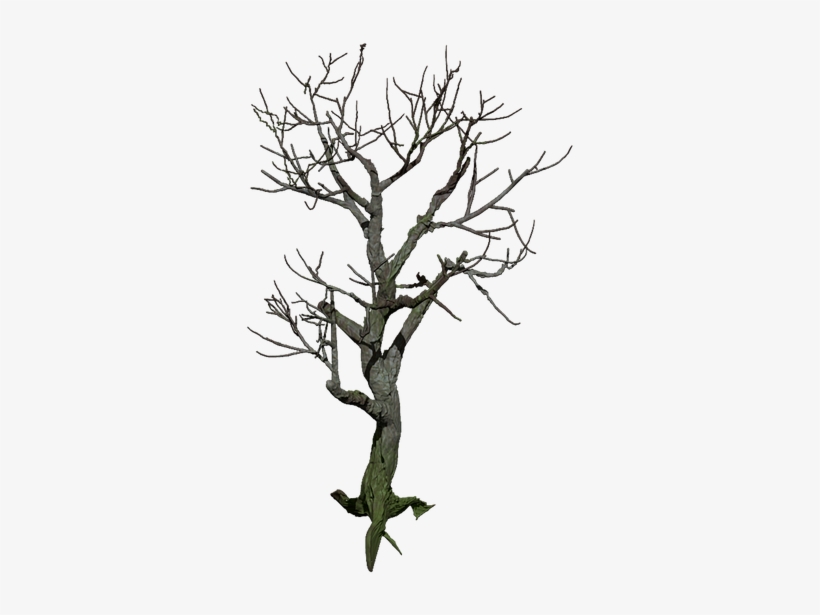 Tree, Isolated, Png, Digital Art, Mystical - Digital Art, transparent png #2907877