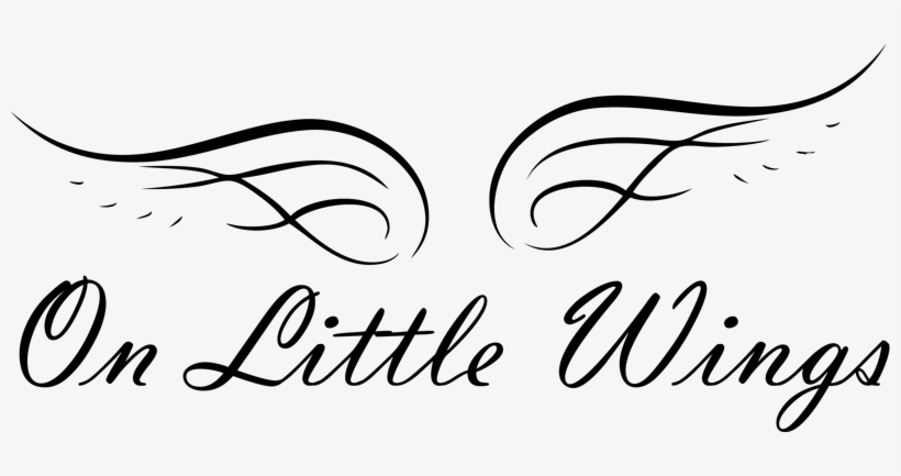Large Png - Little Wings Png, transparent png #2907935