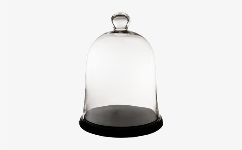 17 X 13 In - Cysexcel Glass Dome Terrarium Bell Cloche, transparent png #2908269