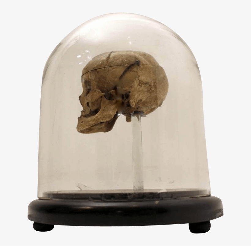 18th Century Human Skull In A Victorian Glass Dome - Skull, transparent png #2909046