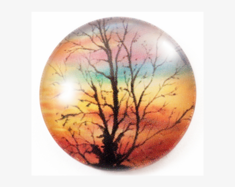 Circle, transparent png #2909074