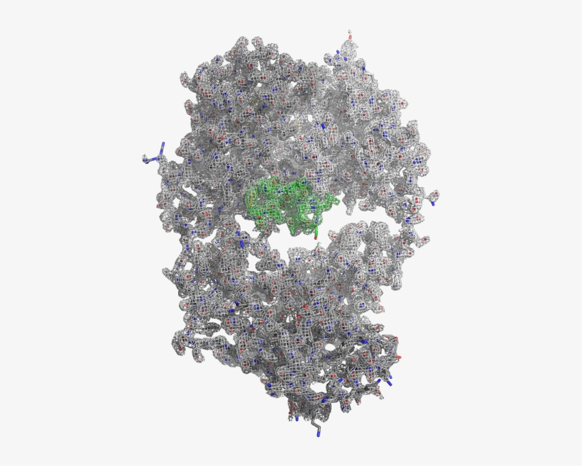 Lc Hc Meditope - Meditope Biosciences, Inc., transparent png #2909093