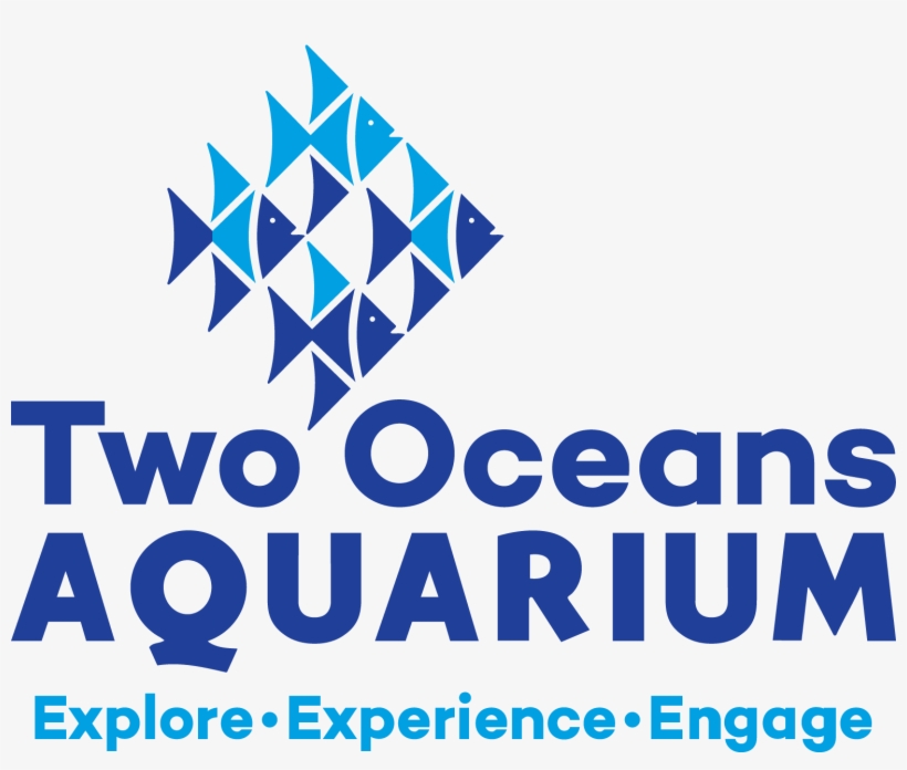 Area - History Two Oceans Aquarium Cape Town, transparent png #2909228