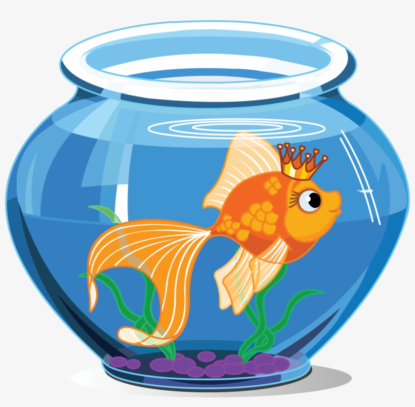Fish Tanks Justin Ide Clip Art Transparent Download - Goldfish Cartoon, transparent png #2909315