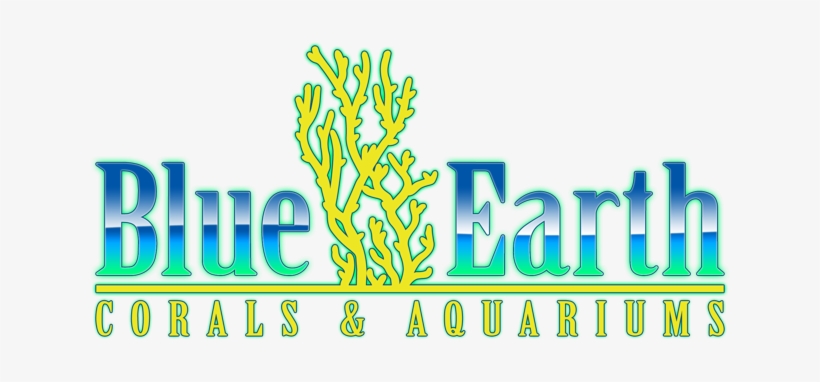 Blue Earth Aquariums - Blue Earth, transparent png #2909359