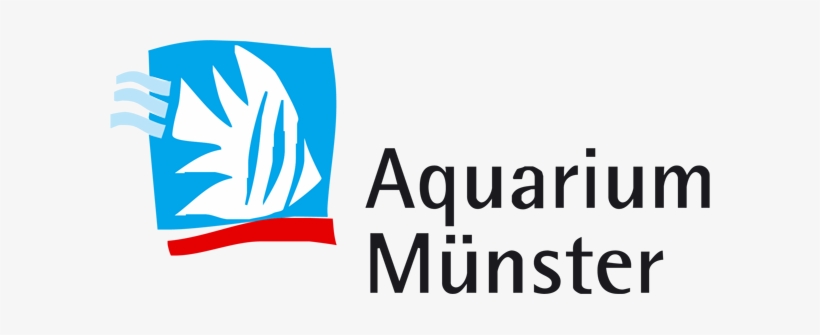 Aquarium Munster - Aquarium Munster Logo, transparent png #2909377