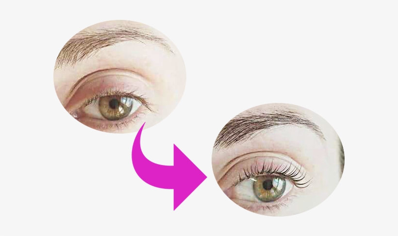 La Permanente De Pestañas - Eyelash Extensions, transparent png #2909412