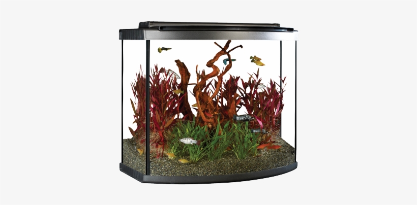 Ideal For The Beginner And Seasoned Aquarist, The 26 - Aquarium Fluval 26 Bow, transparent png #2909444