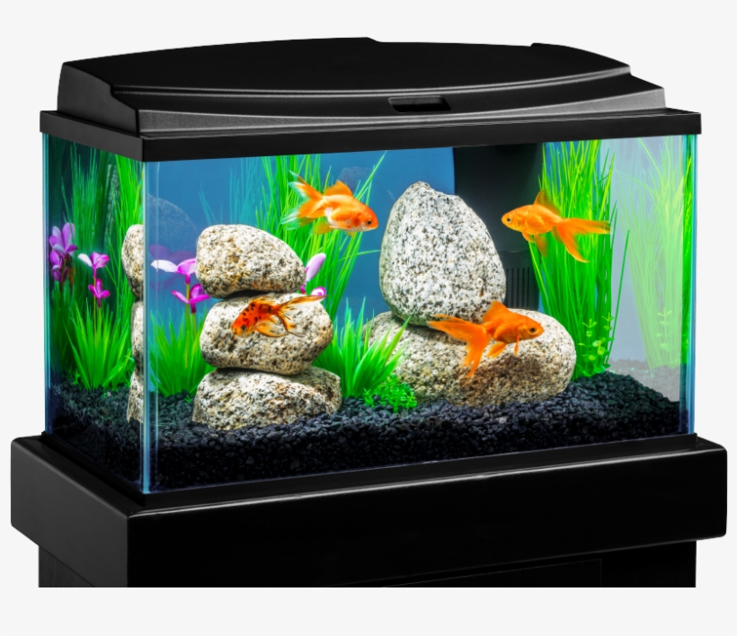 1.8 Gallon Fish Tank, transparent png #2909520