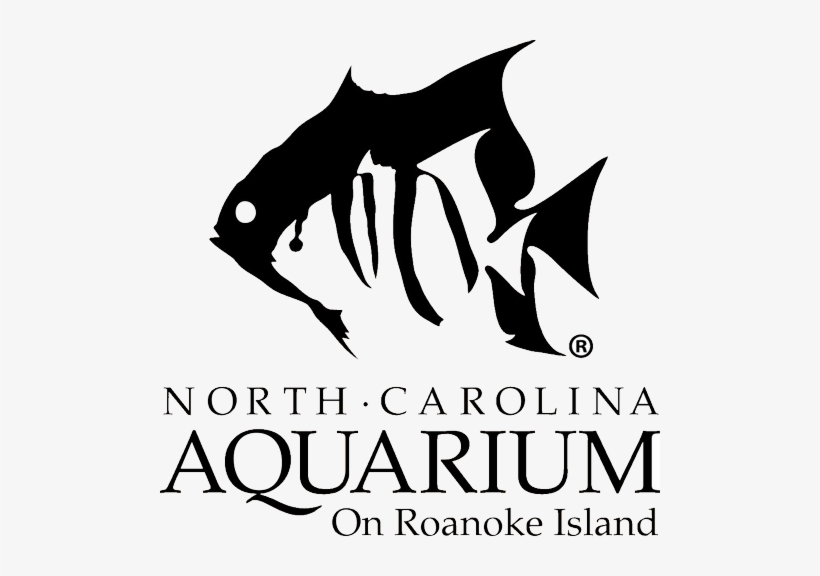 North Carolina Aquarium On Roanoke Island Po Box 967 - Roanoke Island Nc Aquariums, transparent png #2909545