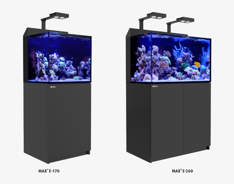 This Knowledge, Gained Over 25 Years, Forms The Basis - Red Sea Max 170, transparent png #2909767