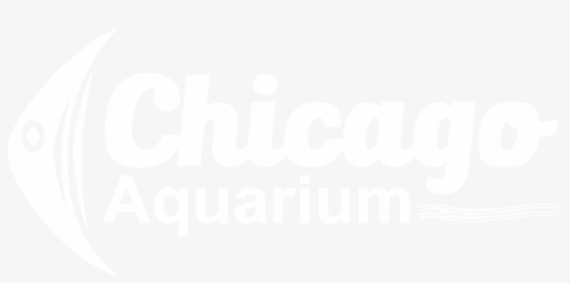 Chicago Aquarium - Chicago, transparent png #2909787