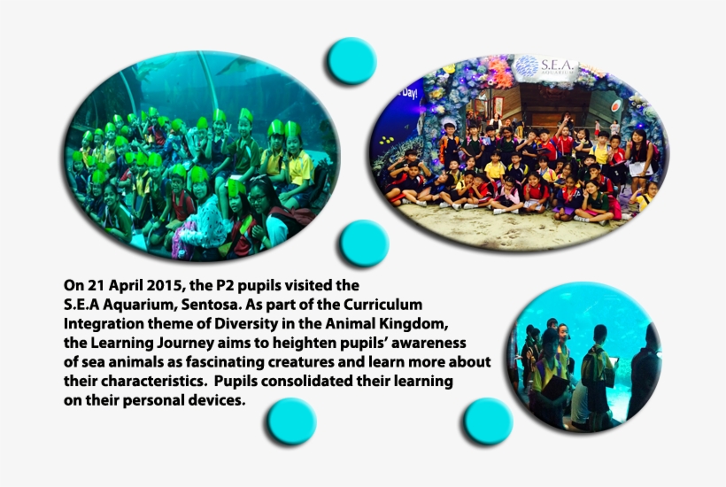 P2 Lj To Sea Aquarium - Circle, transparent png #2909856