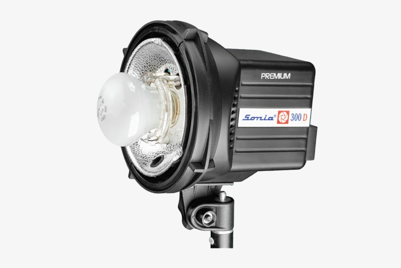 Sonia Photo - Sonia 300d, transparent png #2909858