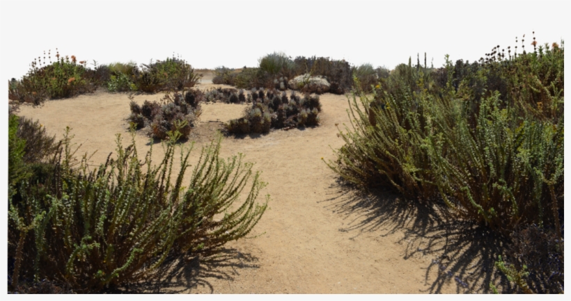 Sand Dunes Stock Photo Dsc 0116 Png By Annamae22-d9tryog - Dune, transparent png #2910498