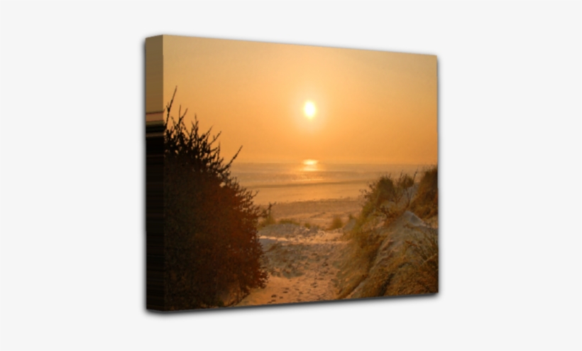 Canvas Greatstone Sand Dunes - Sunset, transparent png #2910553
