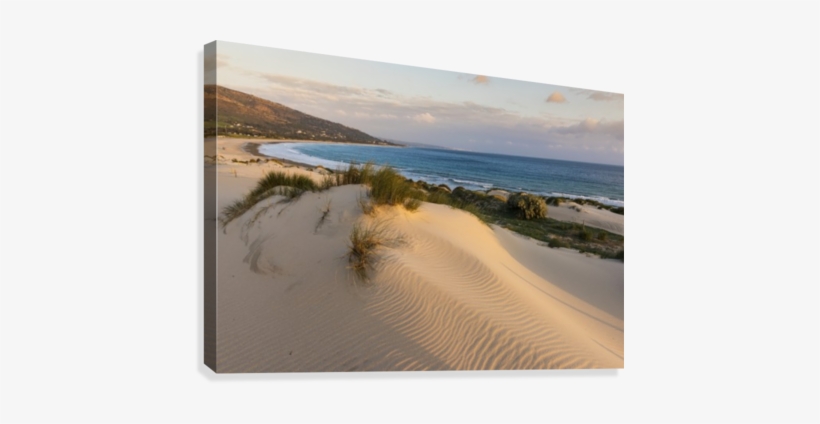 Punta Paloma Sand Dunes - Printscapes Wall Art: 36" X 24" Canvas Print With Black, transparent png #2910678