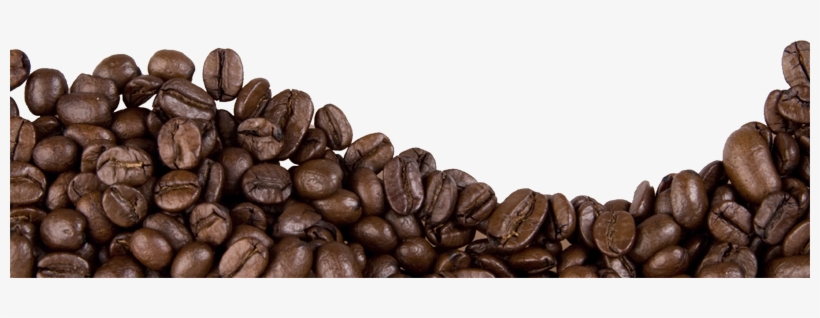 De Plantas Y Flores De Colores, Cultivos Naturales - Skin Elements Caffeine Body Wash, transparent png #2910841