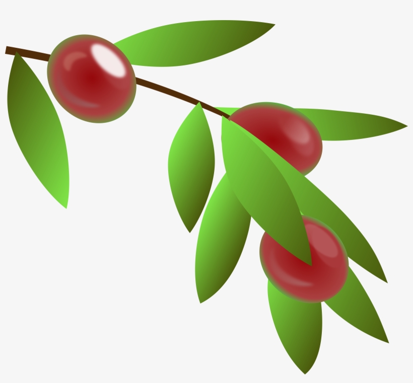 This Free Icons Png Design Of Planta De Cafe Colombiano, transparent png #2910865