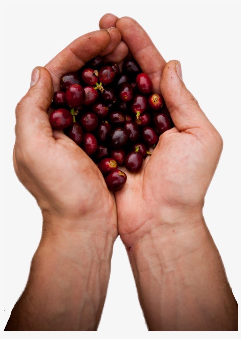 Máquinas De - Superfood, transparent png #2911038