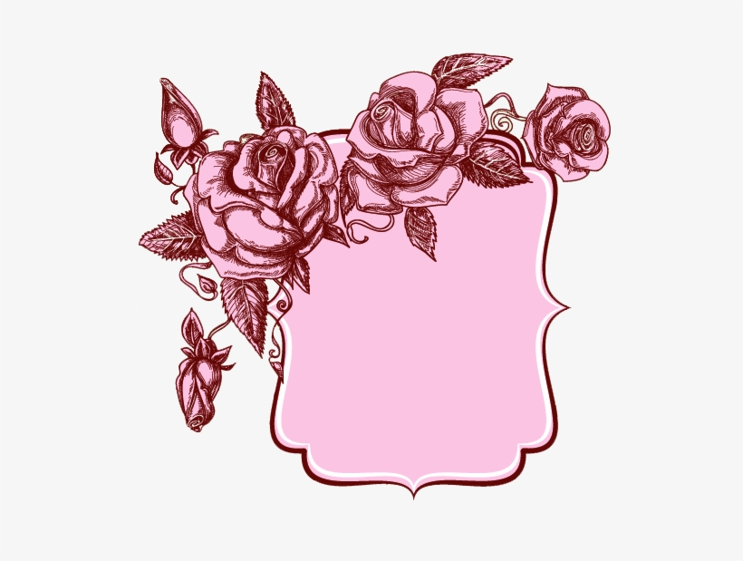 Beautiful Floral Banner - Vintage Light Pink Rose Drawing, transparent png #2911101