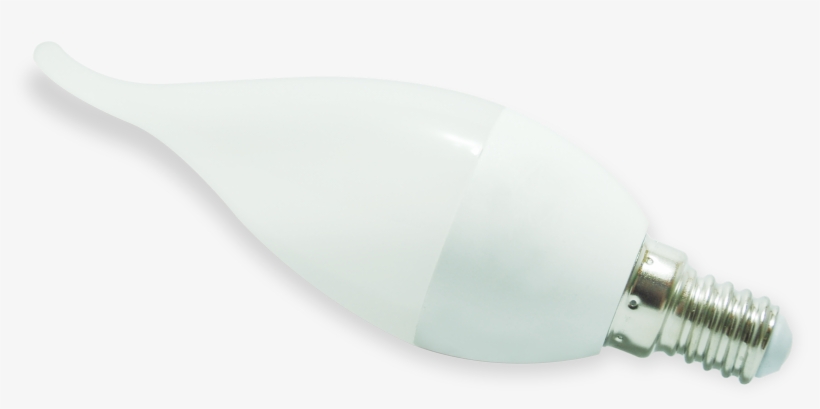 Bombilloled - Light, transparent png #2911104