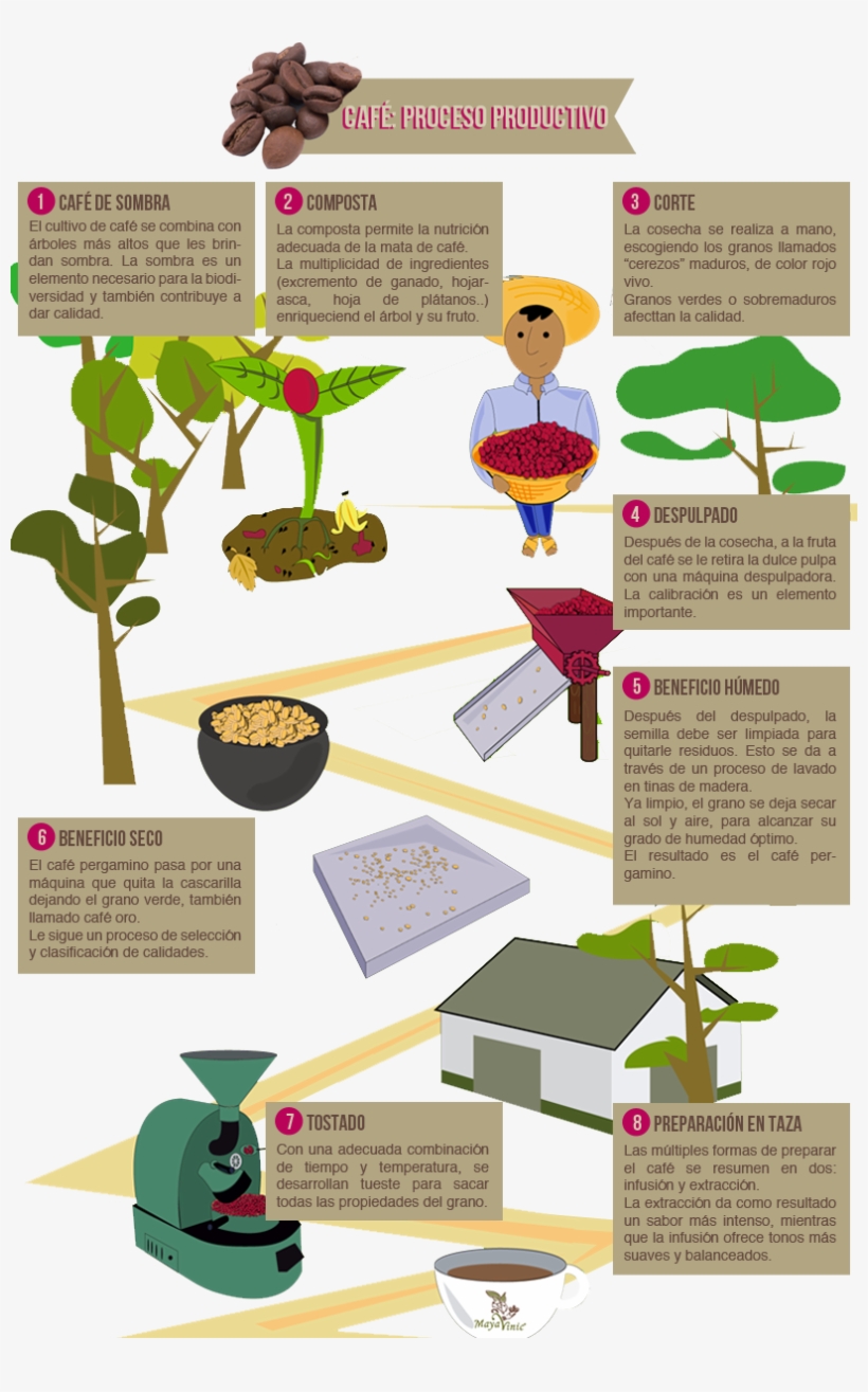 Pero Antes De Escribir La Receta De Esta Crema, Me - Coffee, transparent png #2911528