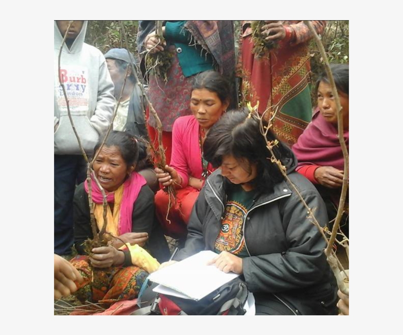 Resilience Through Recovery In Nepal - Girl, transparent png #2912708