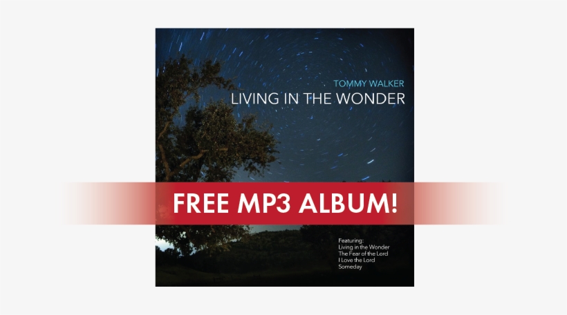 Livinginthefree - Tommy Walker / Living In The Wonder, transparent png #2913198