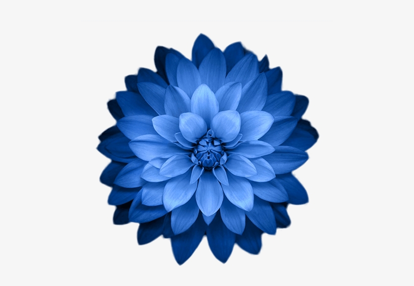 Ios Hd Wallpaper Flower, transparent png #2913486