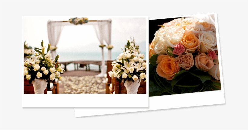 Hassle-free Flower And Decore Solutions For Your Wedding - Late Bloomers Floral & Gift, Llc, transparent png #2914211
