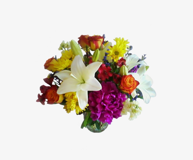 Color Burst - Color, transparent png #2914659