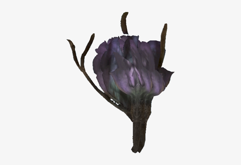 Tato Flower - African Daisy, transparent png #2914836