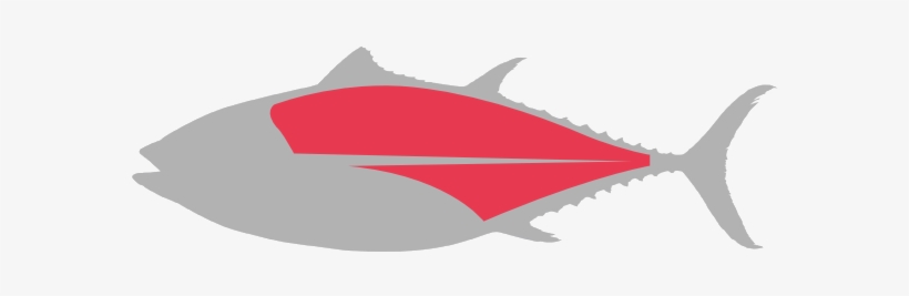 Loin - Pacific Sturgeon, transparent png #2915160