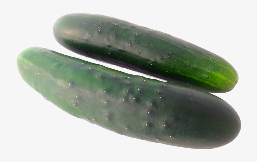 Pepino Cohombro 2 Und - Cucumber, transparent png #2915526
