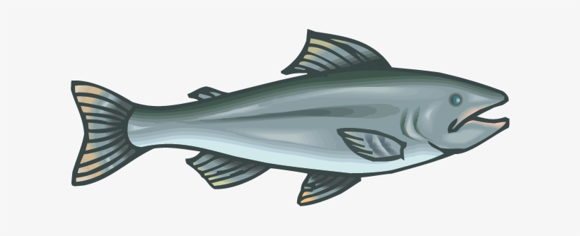 Salmon - Middle Stone Age Food, transparent png #2915771