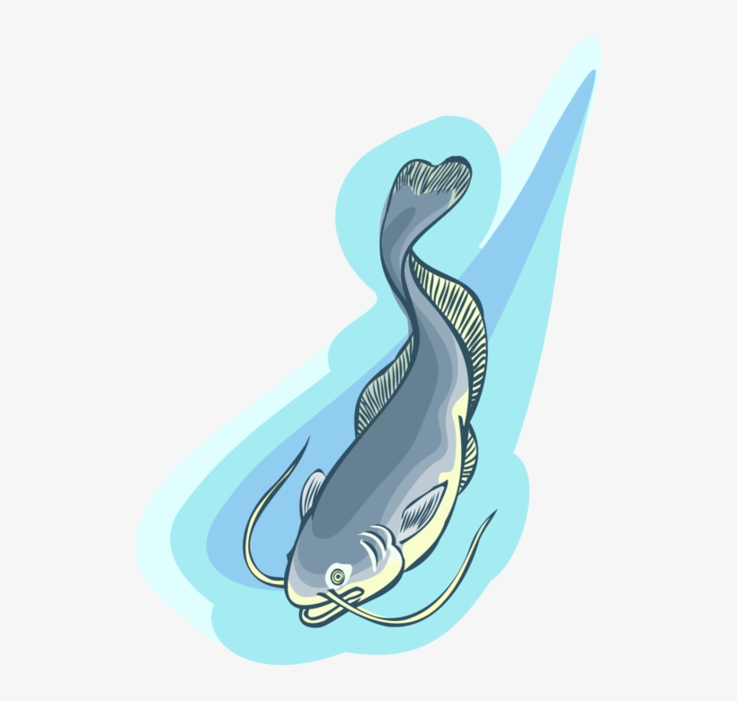 Vector Illustration Of Aquatic Carp Fish Swims Upstream - Illustration, transparent png #2915773