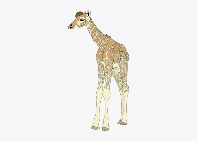 Baby Giraffe - Baby Giraffe Shower Curtain, transparent png #2916170