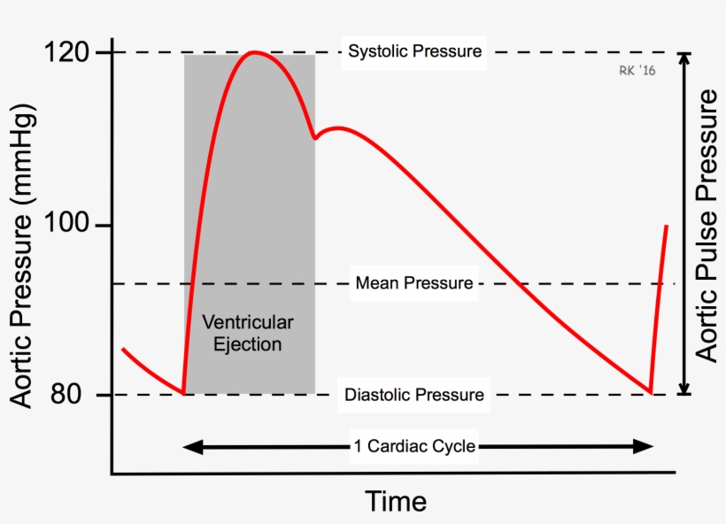 Arterial Blood Pressure - Pulse Pressure, transparent png #2916259
