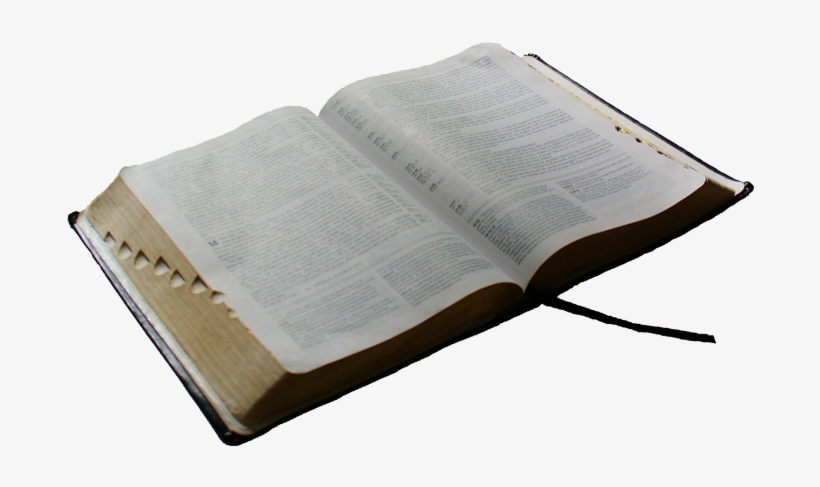 Adult Bible Fellowship - Book, transparent png #2916575