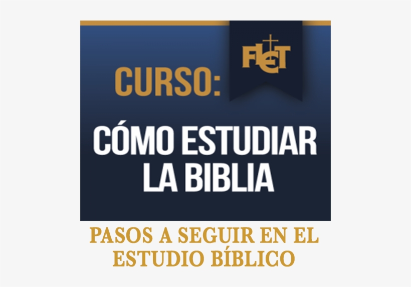 Pasos A Seguir En El Estudio Bíblico - Poster, transparent png #2916798
