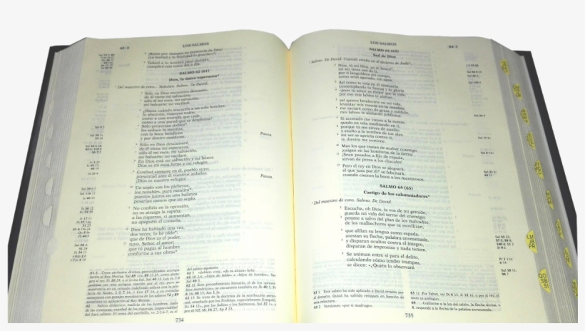 Biblia Abierta Png, transparent png #2916818