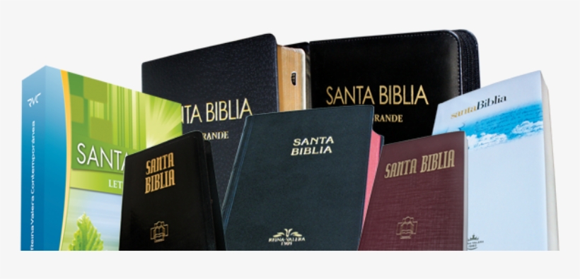 Donan Un Million Dolares A Escuelas Para Enseñar Sobre - Diferentes Biblias, transparent png #2916953
