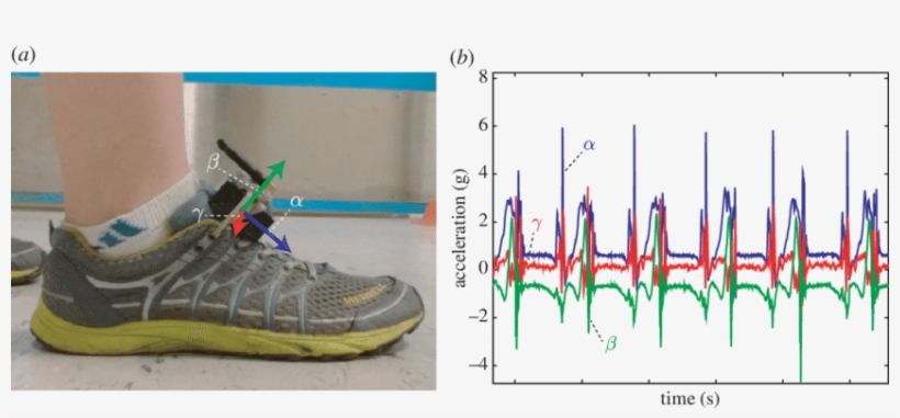 A) Photograph Of In Situ Testing Of The Accelerations - Diagram, transparent png #2917165