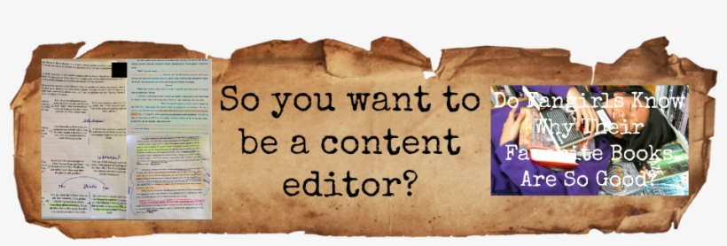 I Received The Amazing Opportunity To Interview Sara - Weresquito: Nazi Hunter, transparent png #2918747