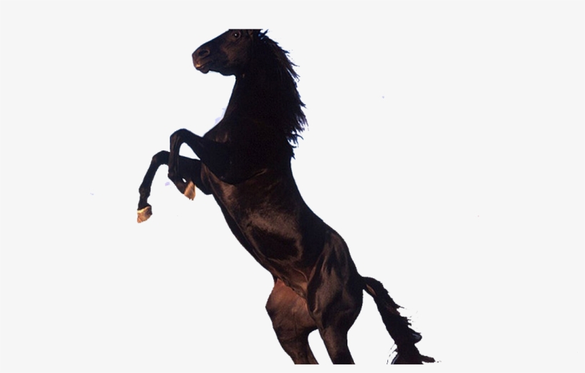 Devil And Jenny [book], transparent png #2919215